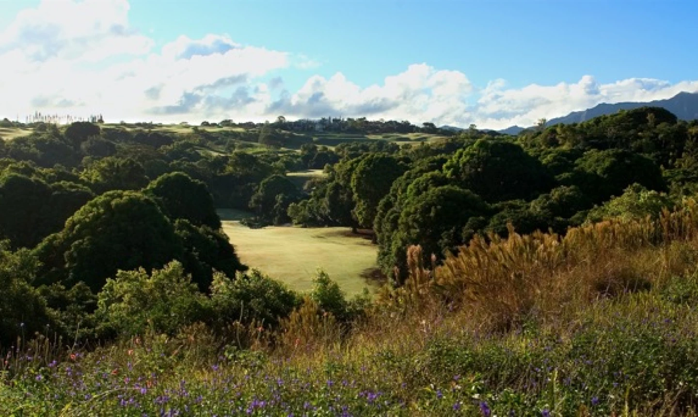 The Prince Course - 12th Fairway