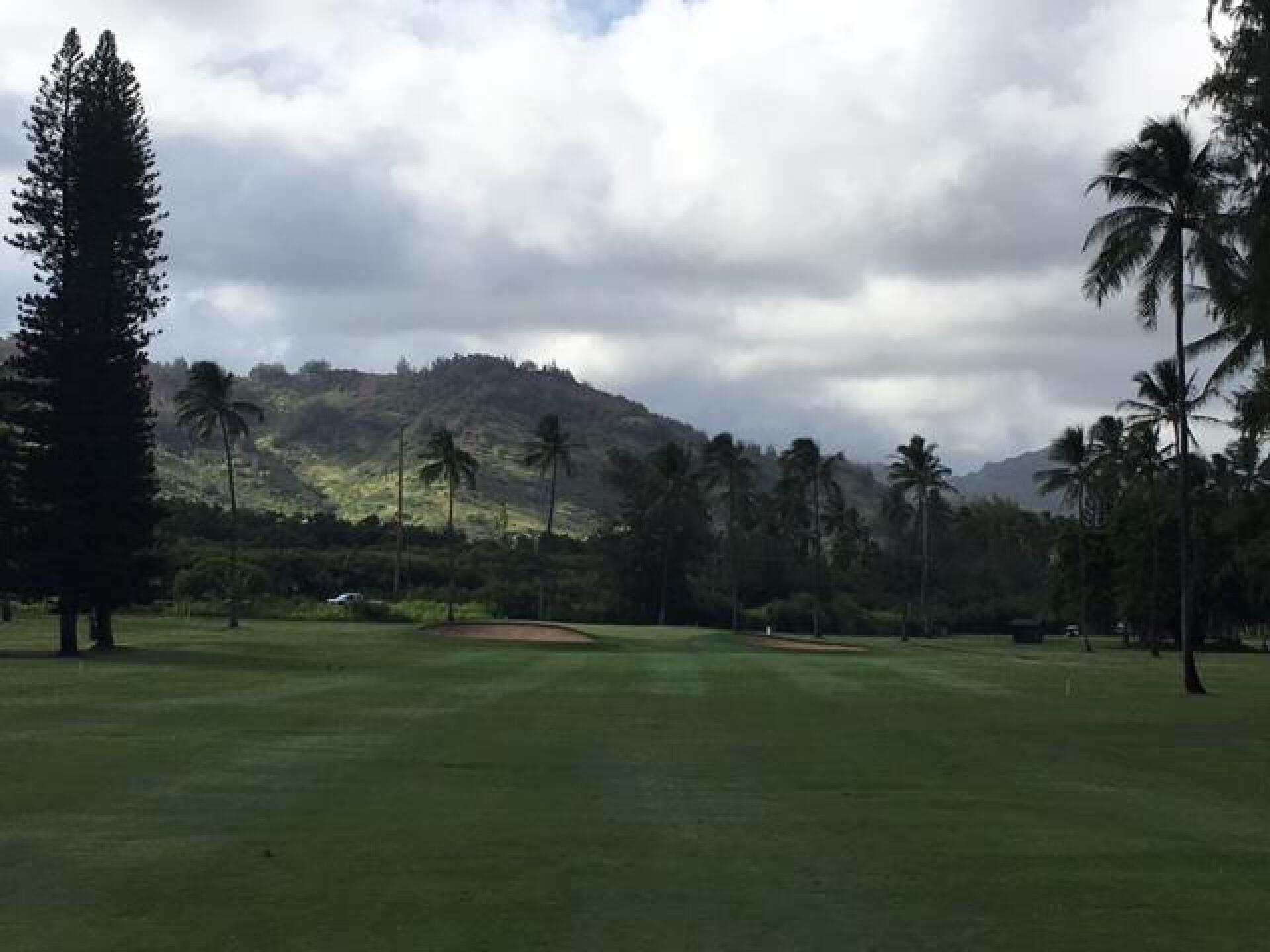 (Photo submitted by LICC on 09/08/2017)