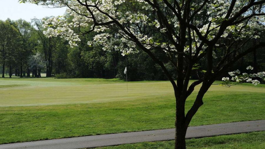 Oak Tree CC