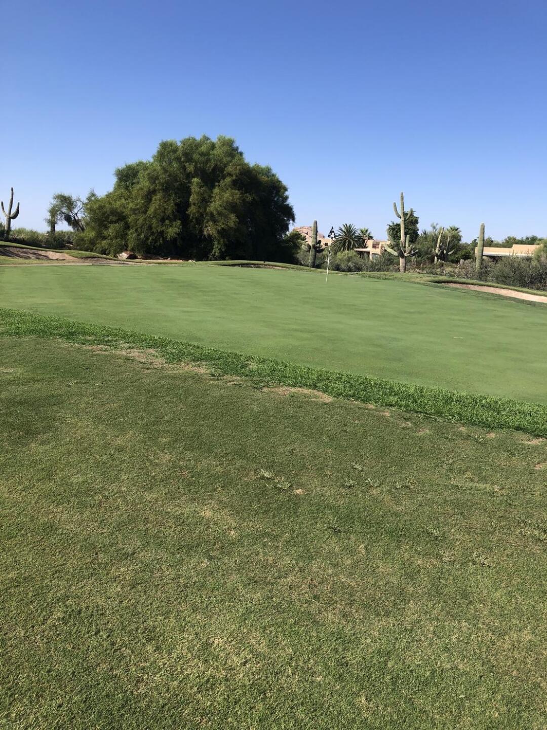 Not the fringe of the green.  Every hole was like this. (Photo submitted by JBrownluvsgolf on 09/20/2021)