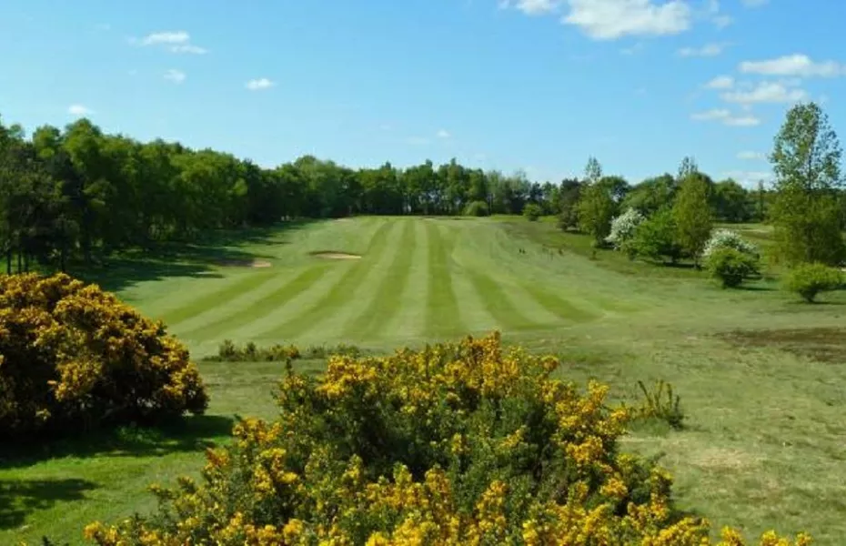 Coxmoor GC: #5