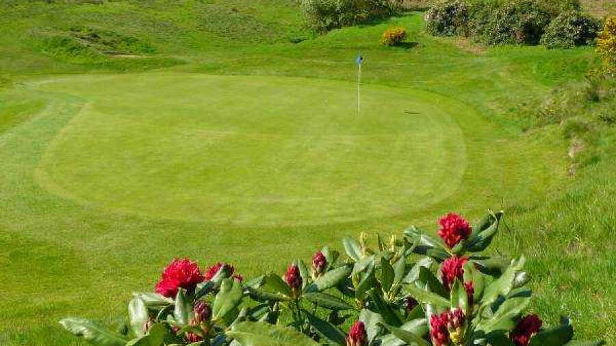 Coxmoor GC: #7