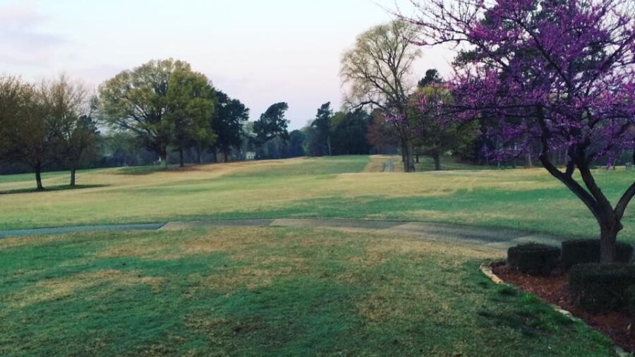 Jackson CC