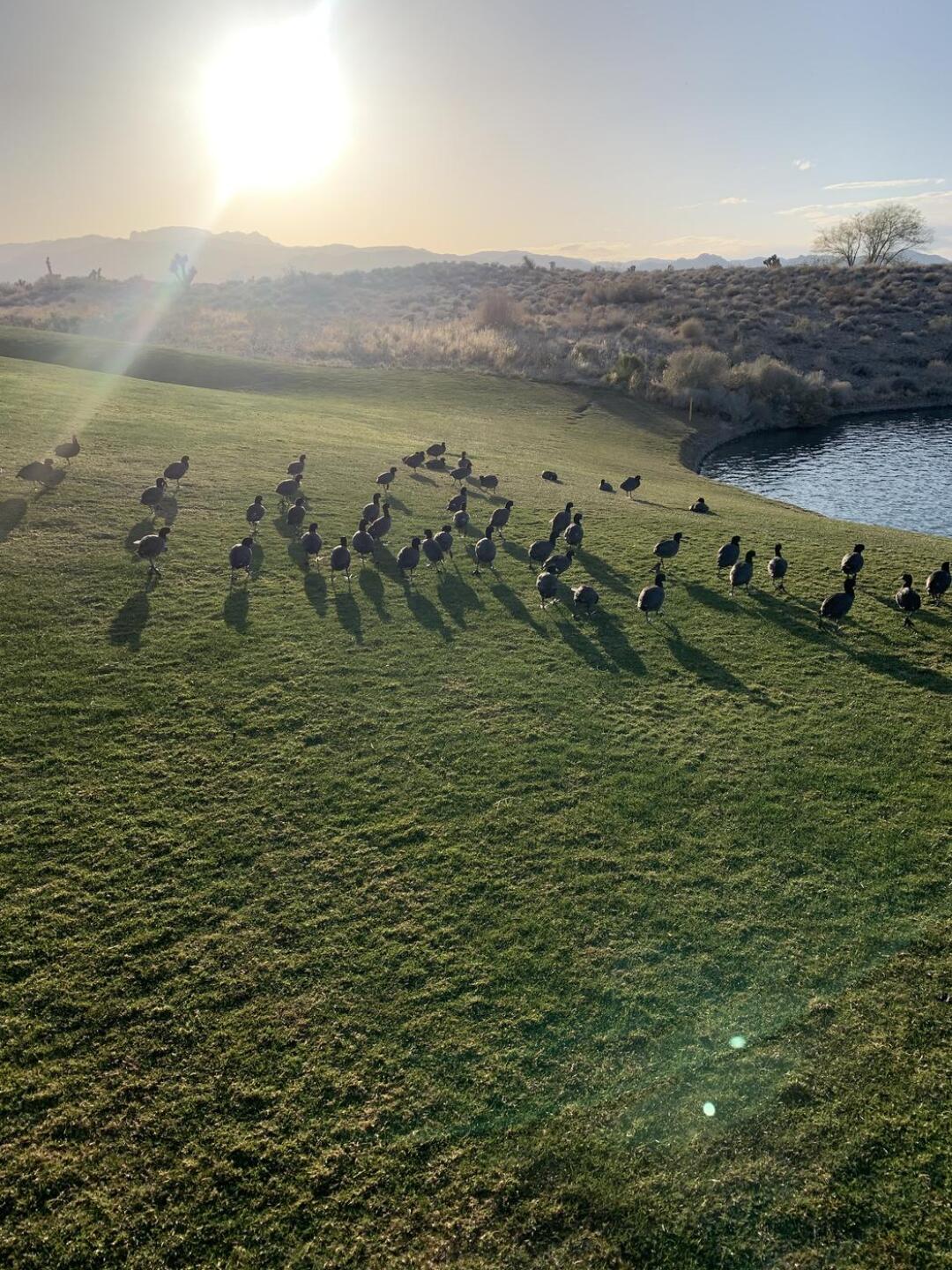 (Photo submitted by smacker69 on 03/20/2021)