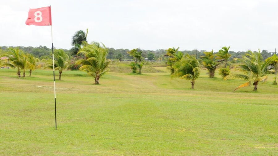 Golf Des 3 Collines: #8
