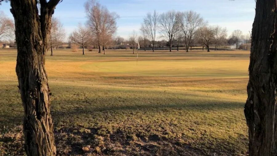 Wildcat GC