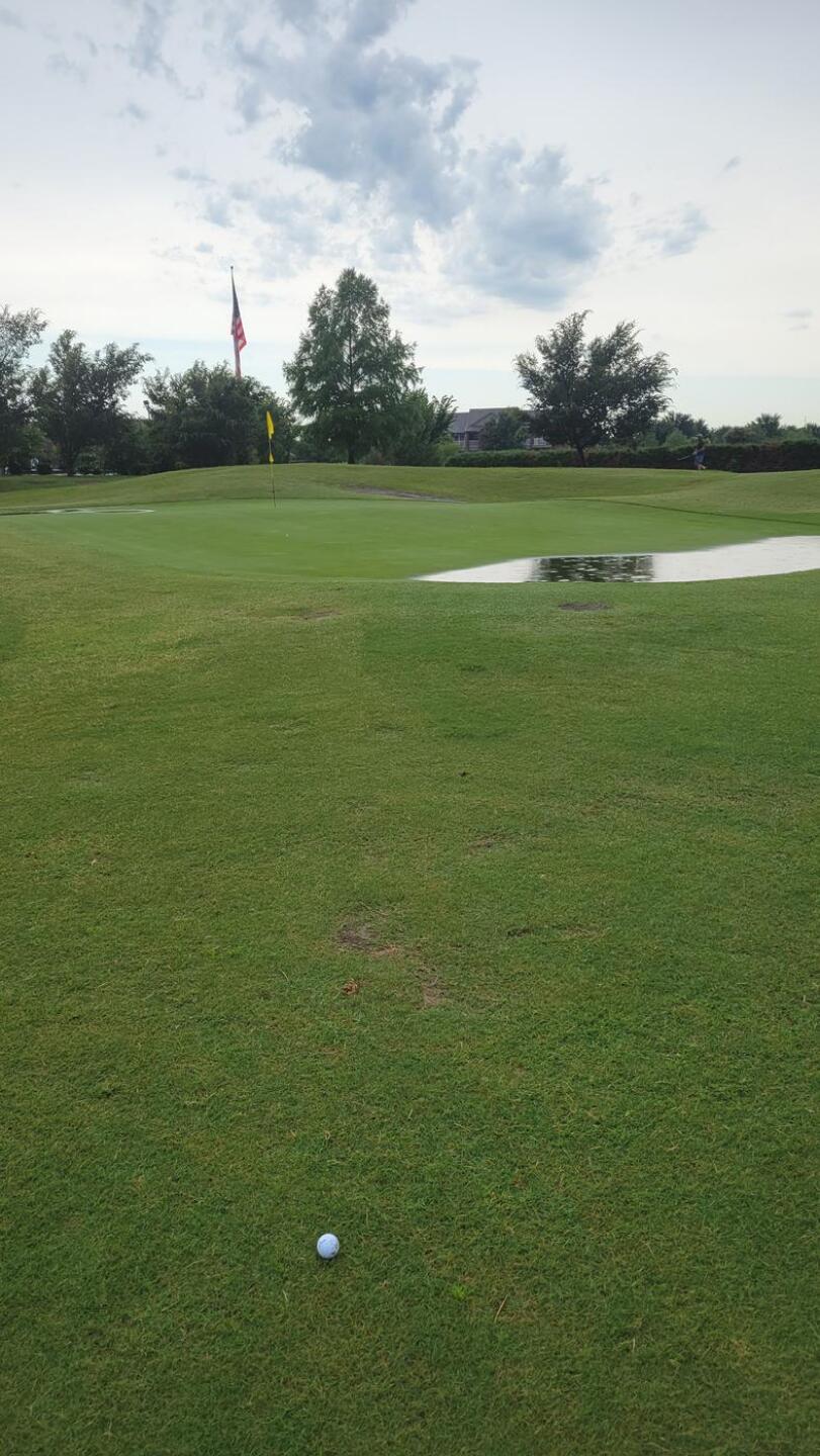 (Photo submitted by u000005149406 on 07/01/2023)