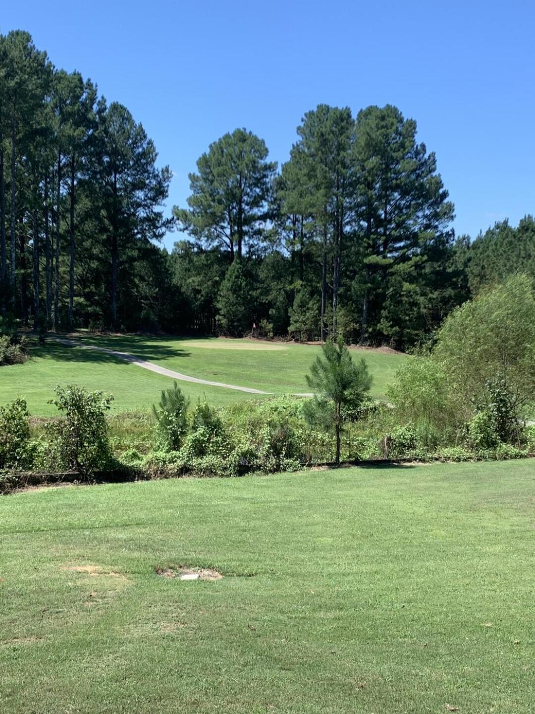 Hole No. 4 (Photo submitted by ShragMagtite on 09/07/2023)