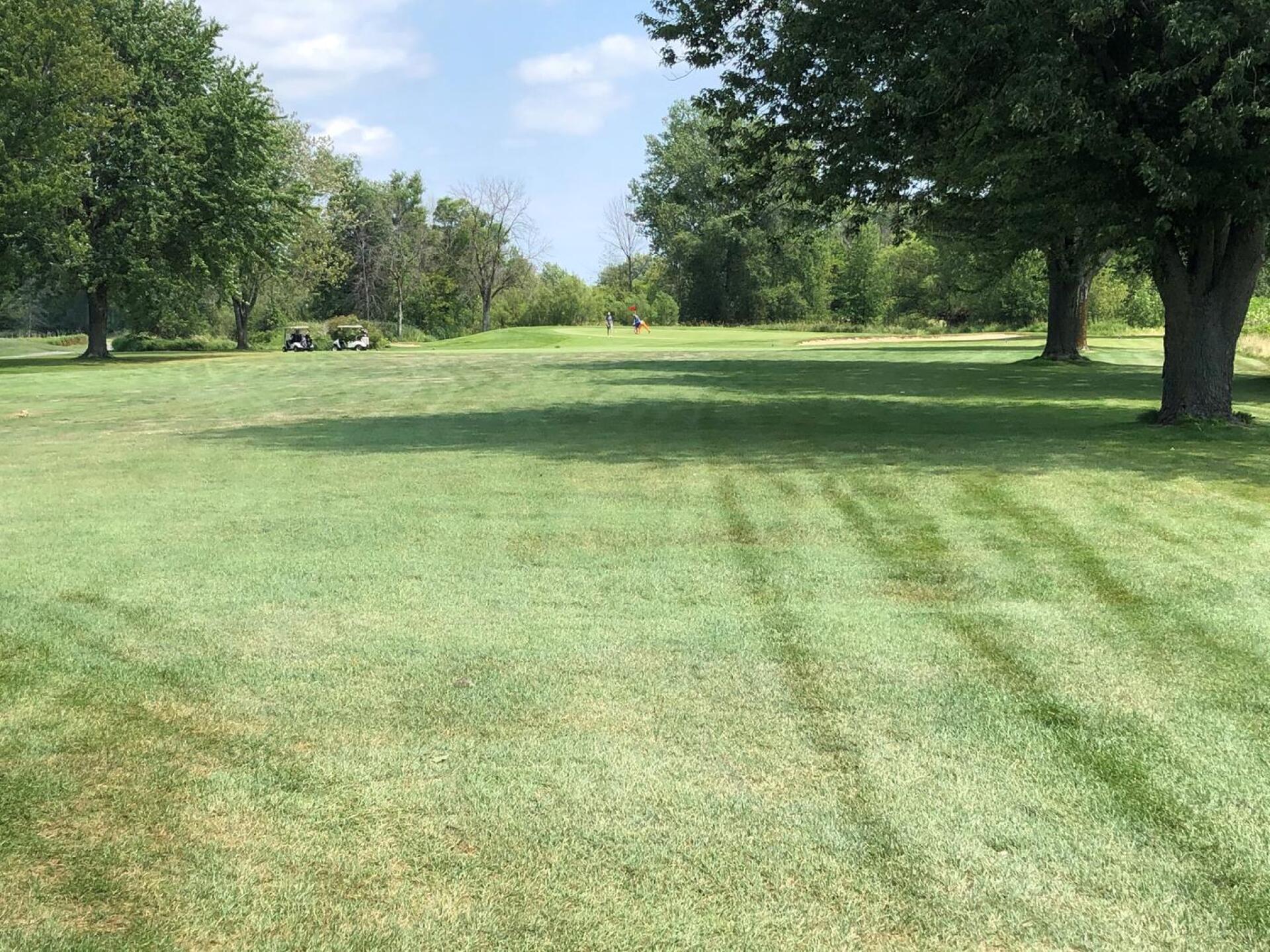 #17 (Photo submitted by Kale1523211 on 08/10/2020)