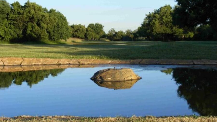 Sandonia GC