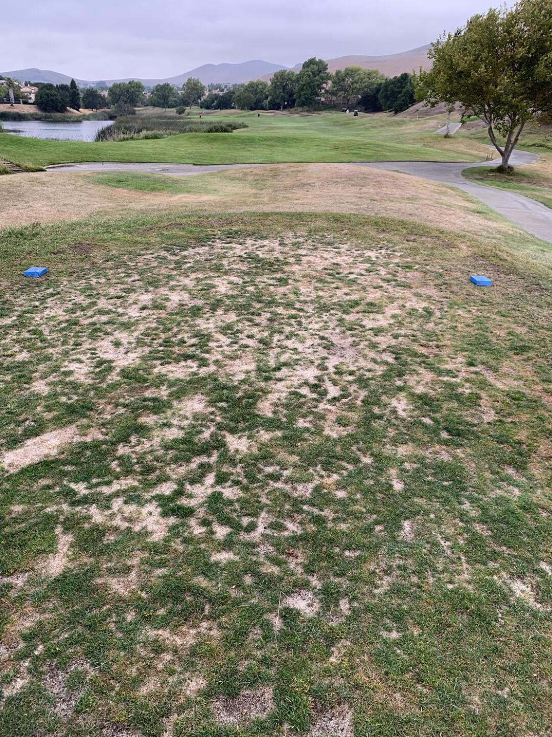 You call this a tee box???  Lumpy undulating garbage. (Photo submitted by rswong21 on 08/27/2021)