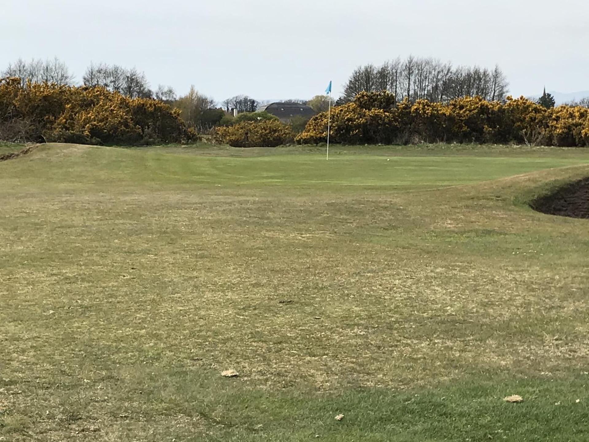 (Photo submitted by kenberry on 04/23/2021)