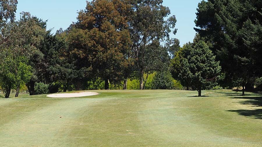 Trentham GC: #18