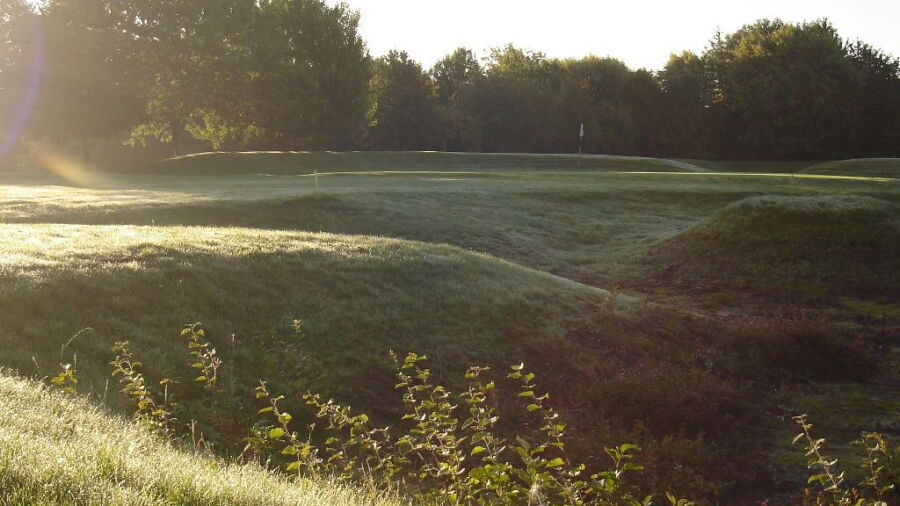 From the rough at Lindfield