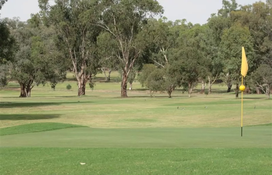 Cootamundra CC: #18