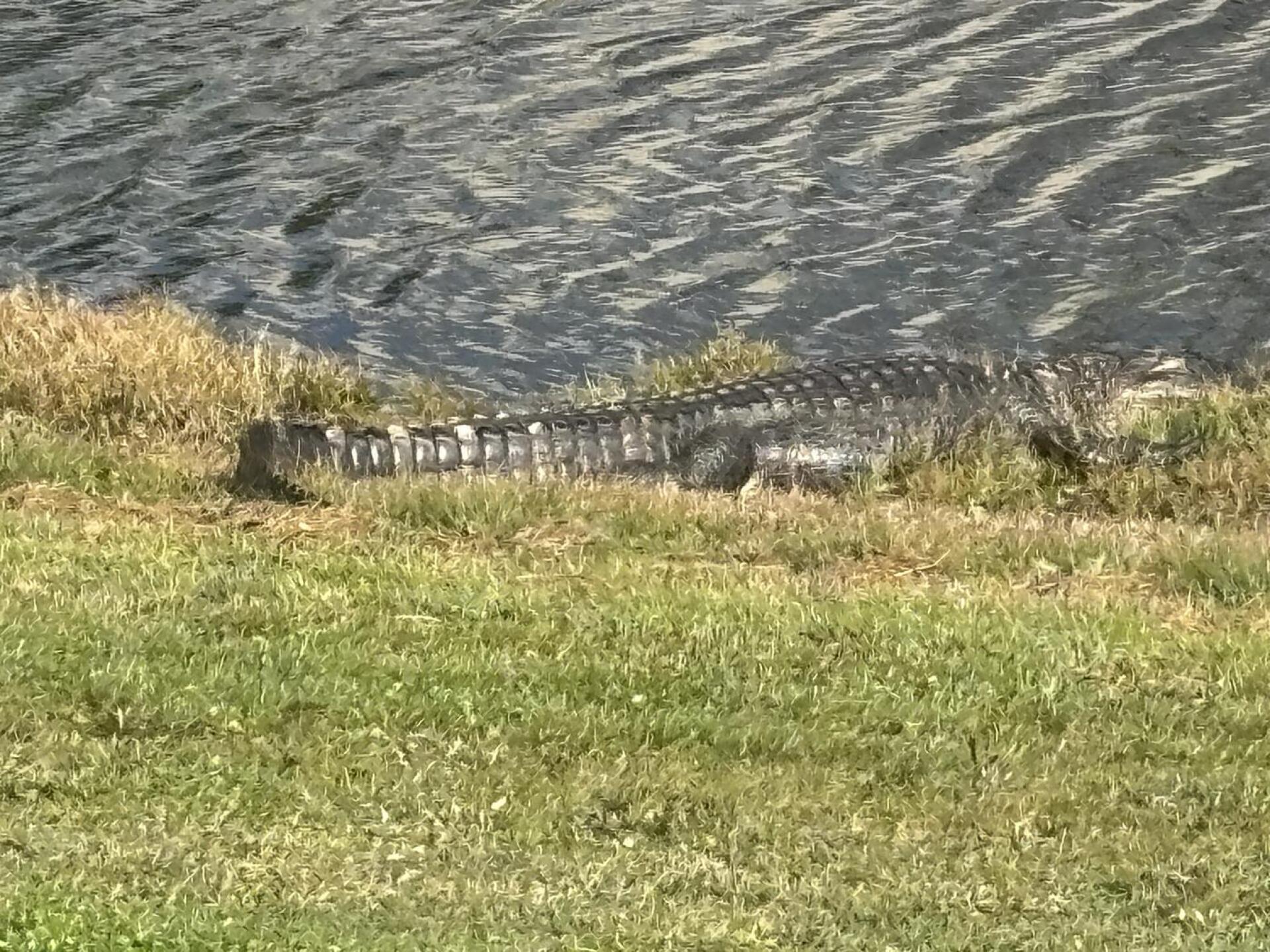 (Photo submitted by u000003460780 on 01/10/2026)