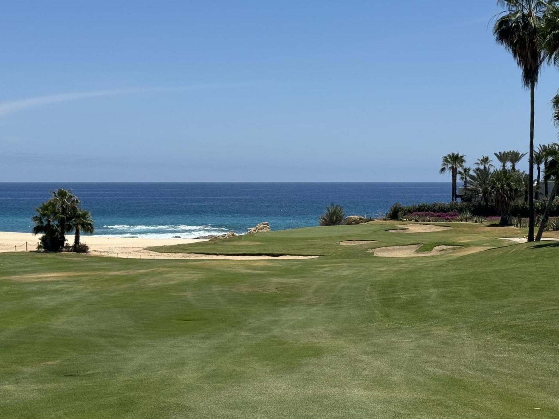 (Photo submitted by sjmartin13 on 04/18/2026)