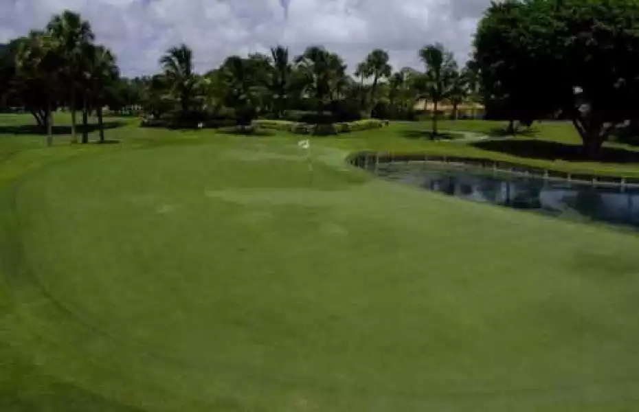 Blue at Delaire CC: #8