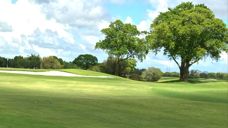 Miccosukee GCC