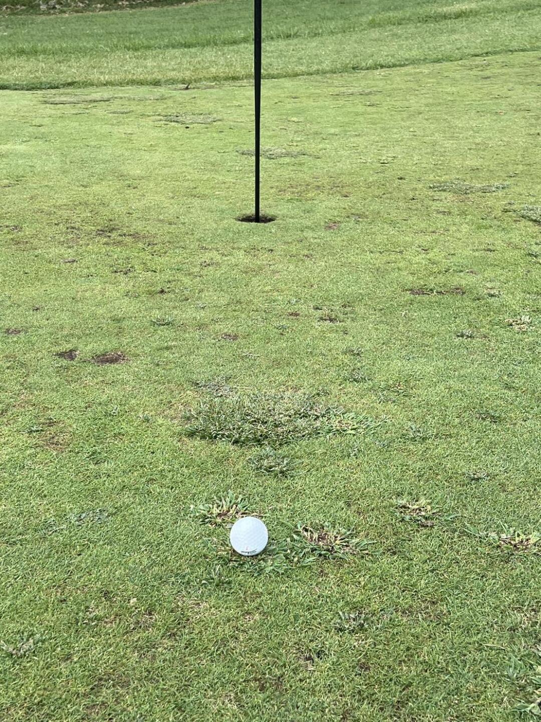 (Photo submitted by rlewis80 on 08/27/2024)