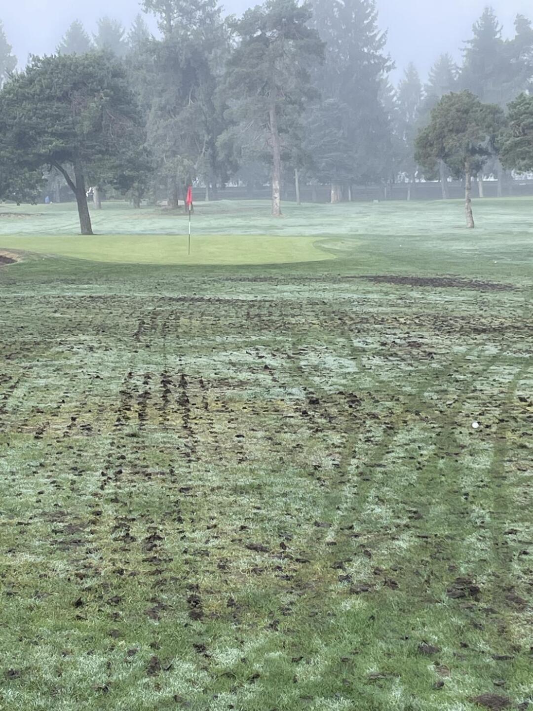 (Photo submitted by u314160614007 on 03/25/2024)