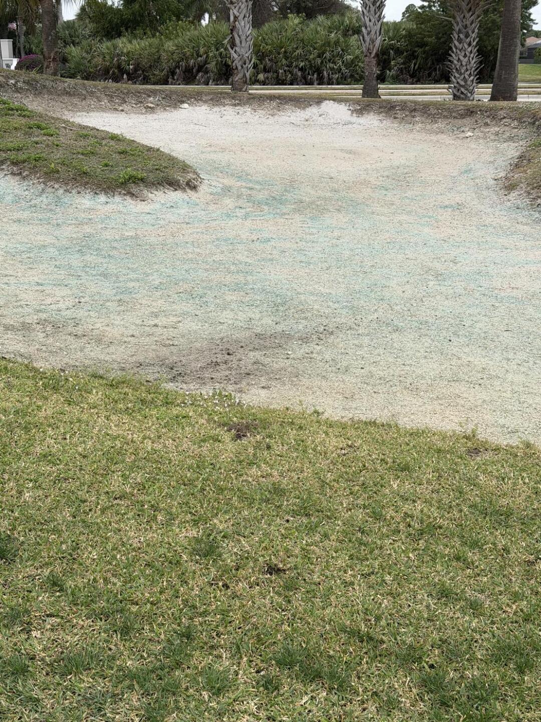 (Photo submitted by alapter76 on 01/14/2026)