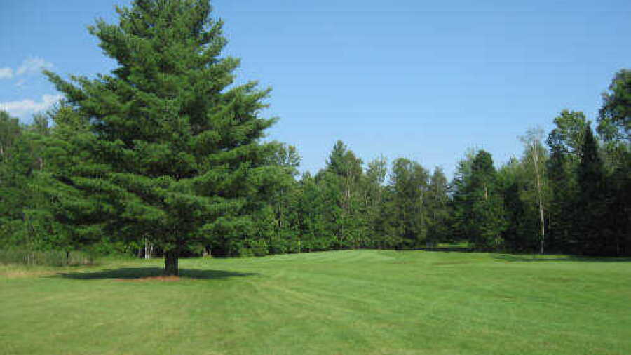 Sandalwood CC