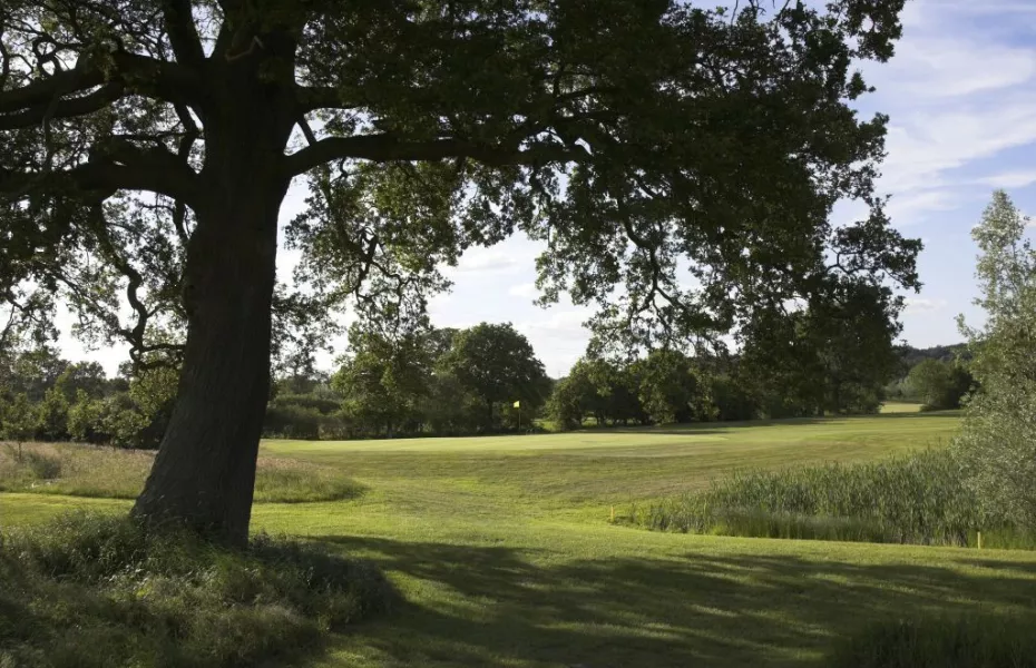 Hartley Wintney: 7th green