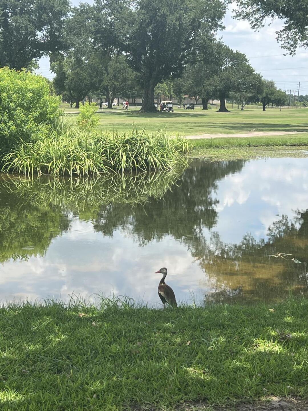 (Photo submitted by angggrae on 07/06/2023)