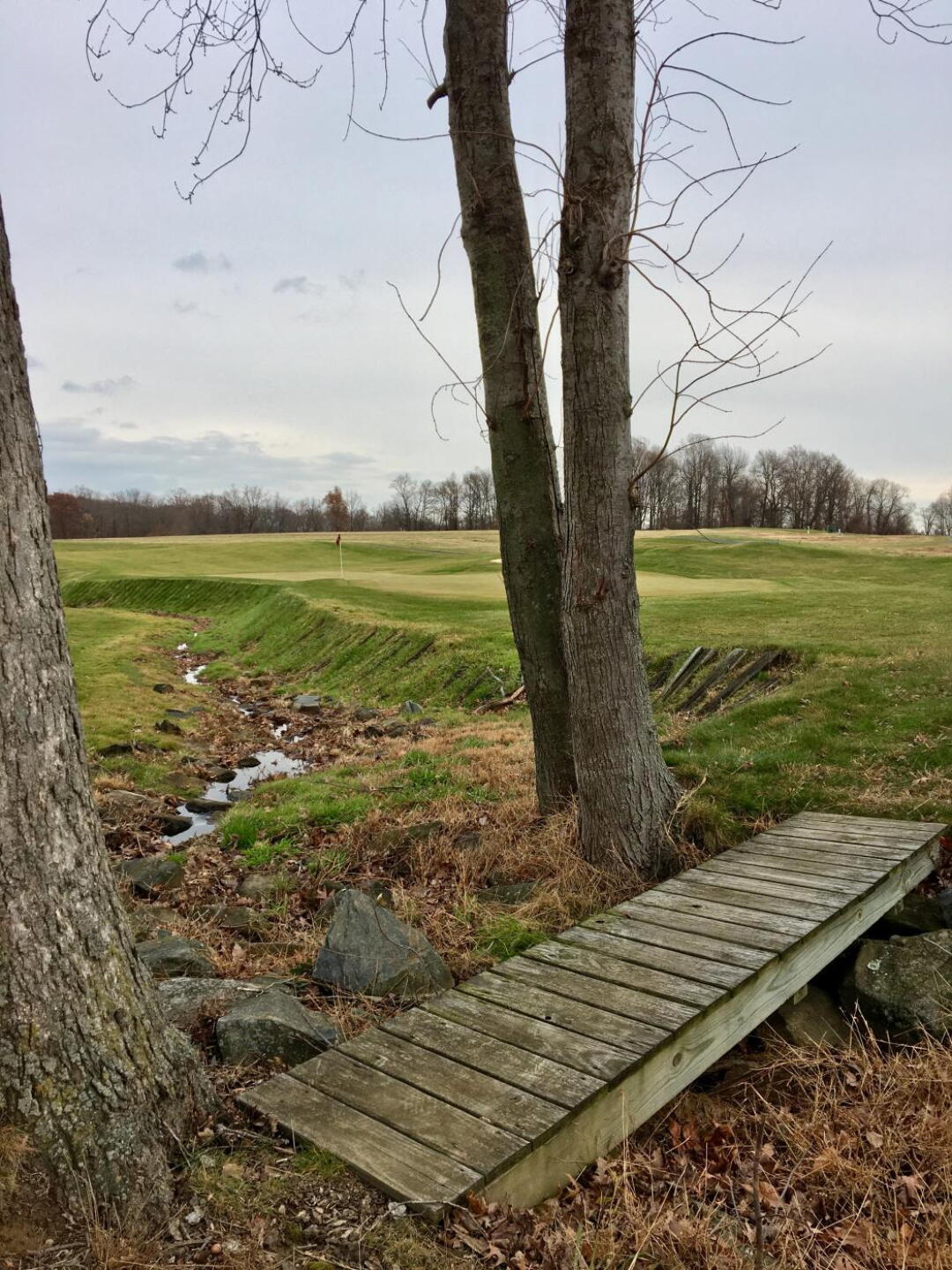 From behind par-5 15th hole (Photo submitted by BrandonWebb on 12/05/2019)
