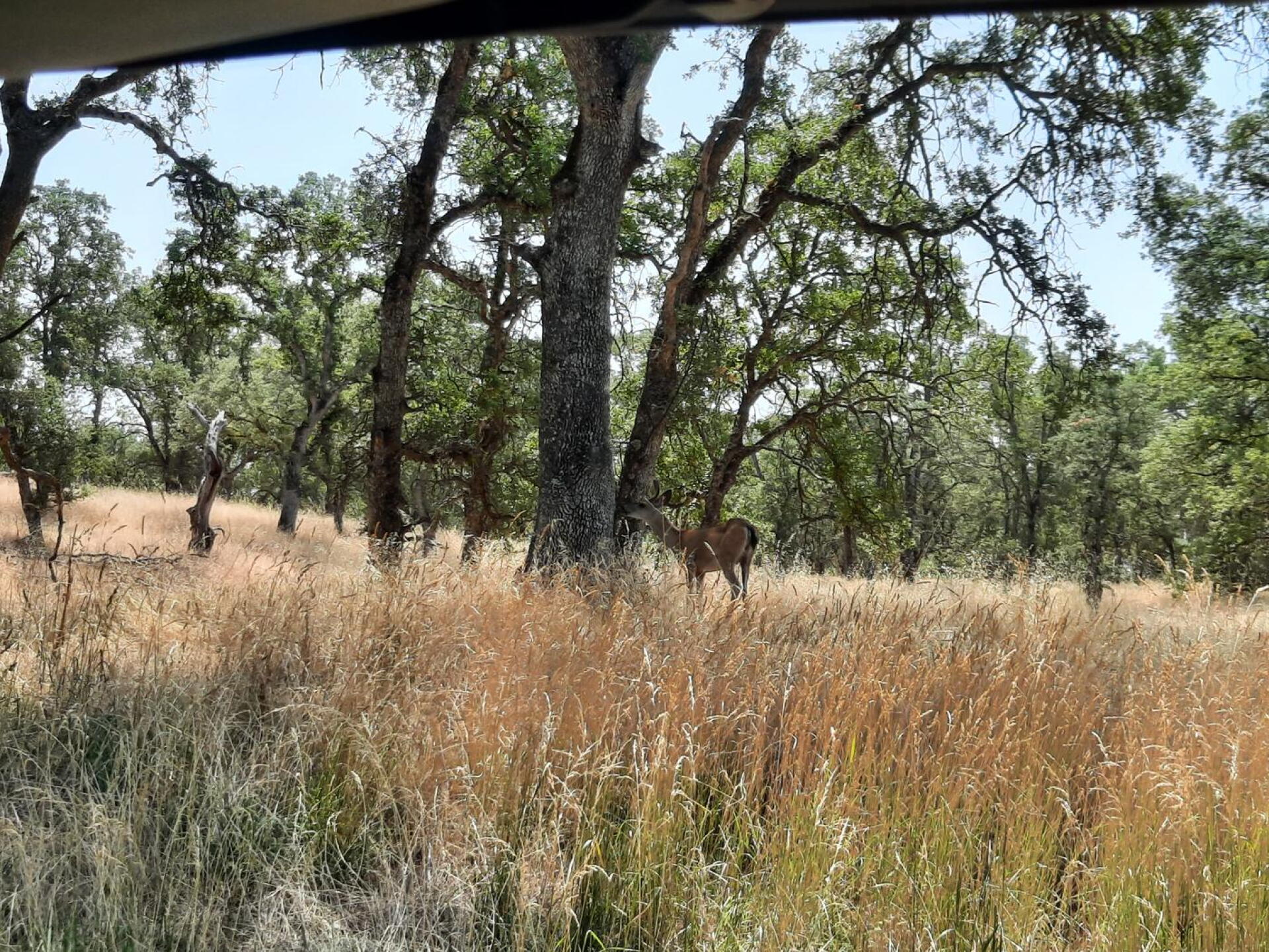 (Photo submitted by u314161421979 on 07/14/2021)
