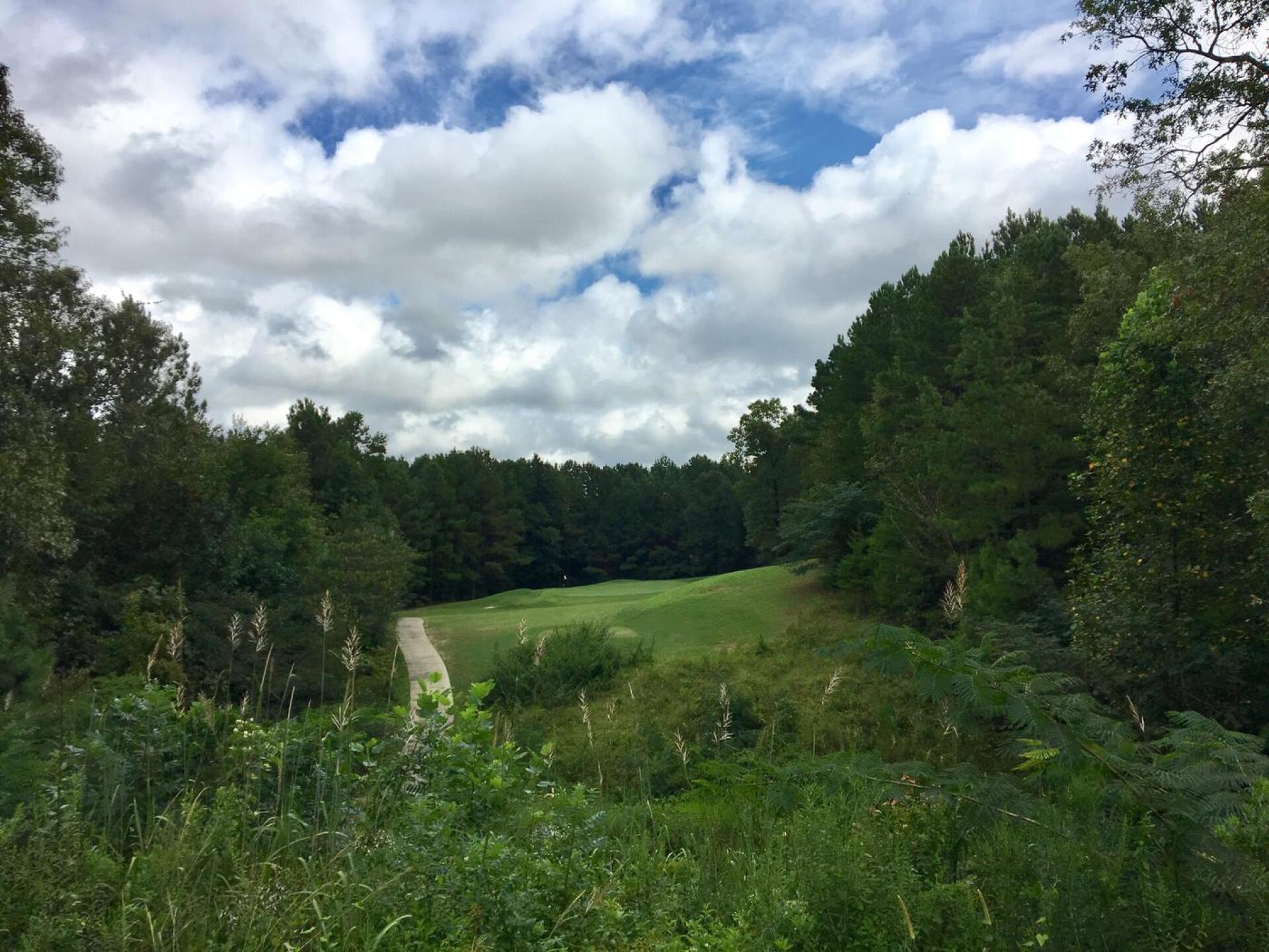 Par-3 12th hole (Photo submitted by BrandonWebb on 08/31/2017)