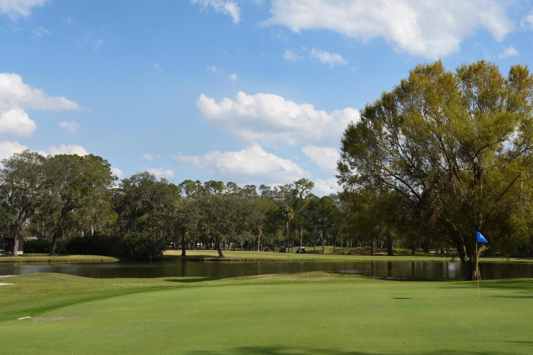 The # 6-index hole, fourteen features a brilliant design, a trio of well-placed bunkers, and a long, lateral water hazard. (Photo submitted by AptlyLinked on 02/18/2025)