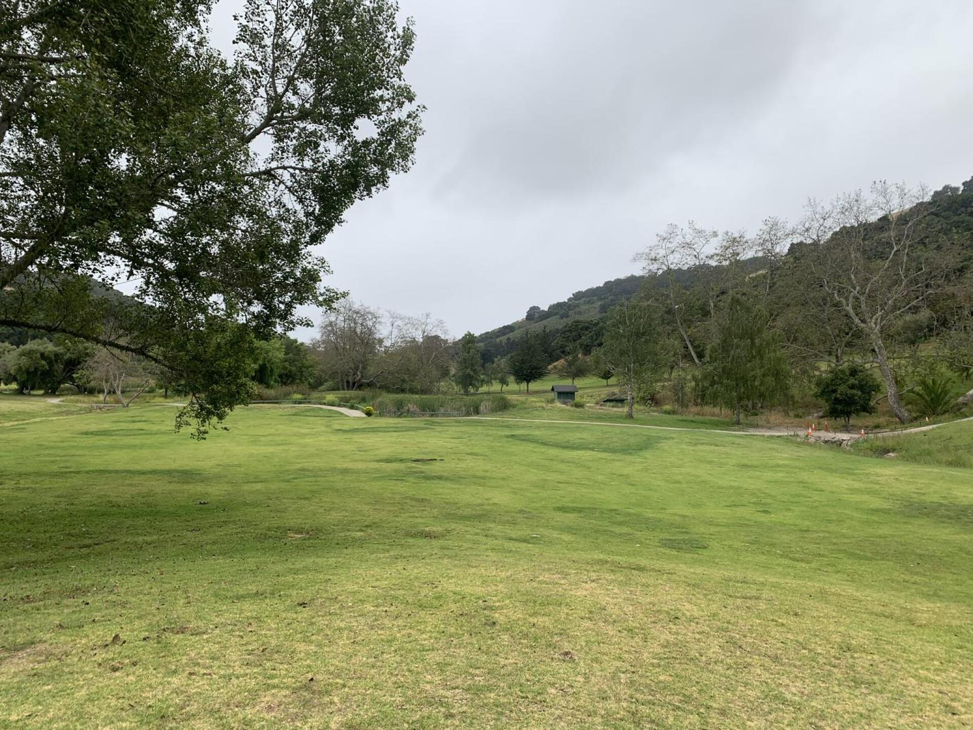 (Photo submitted by pmac284 on 08/11/2023)