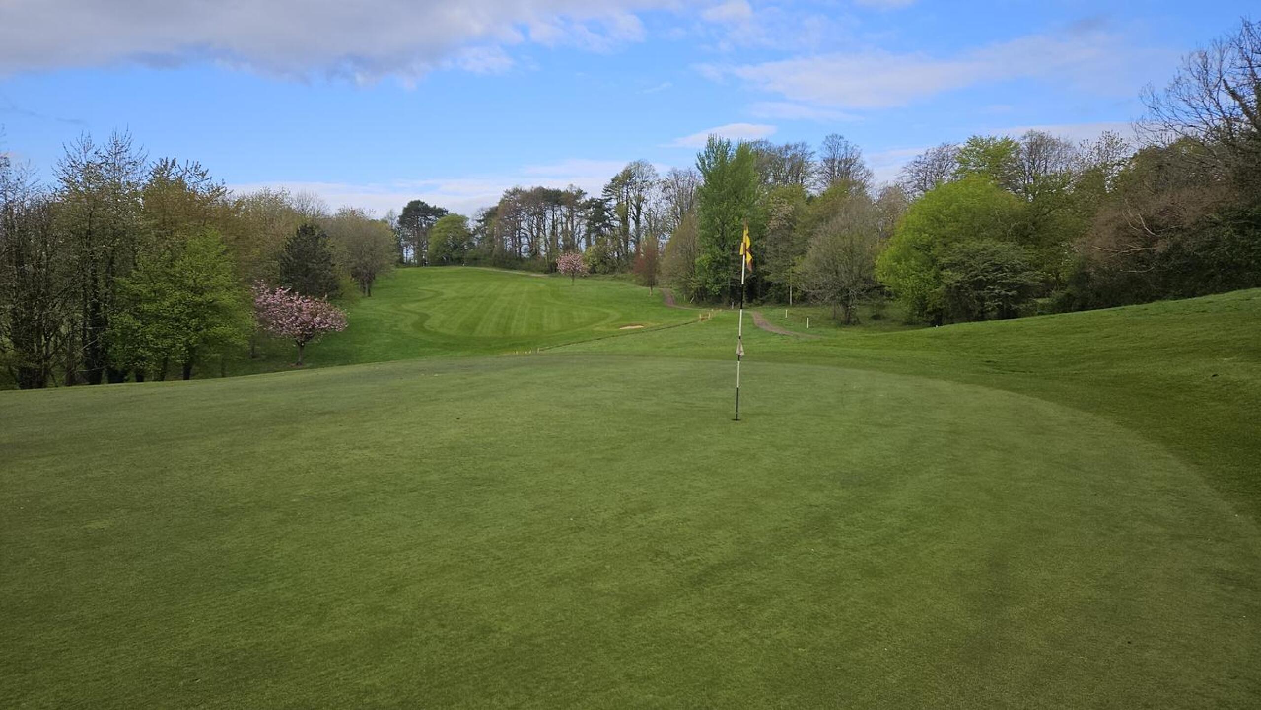 Well presented fairways (Photo submitted by DavidLewis22 on 04/19/2025)