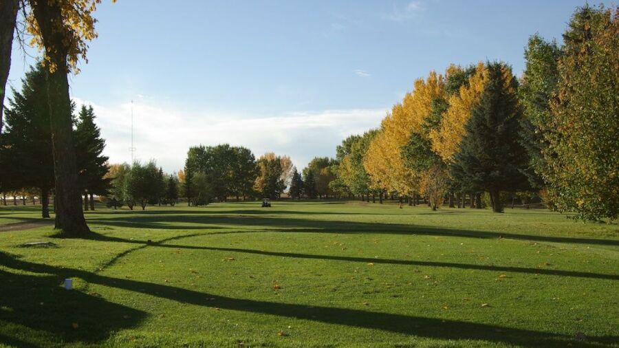 Bassano Sage & Thistle GC