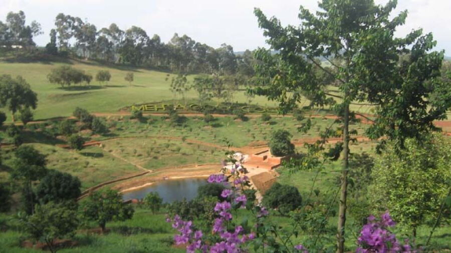 Mehta GC