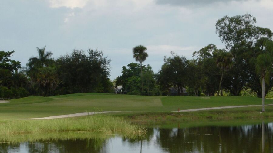 Hibiscus GC: #8