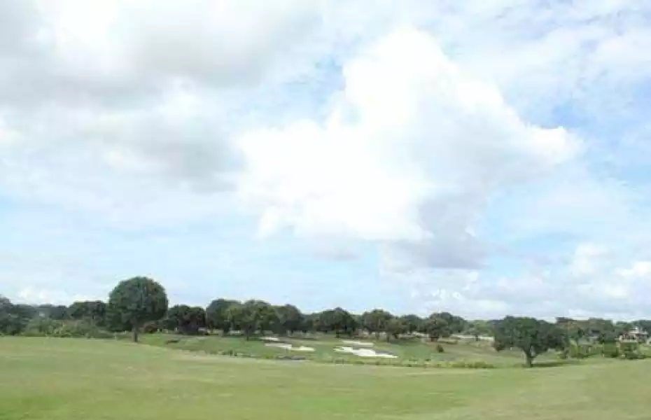 The Orchard GCC: Practice area