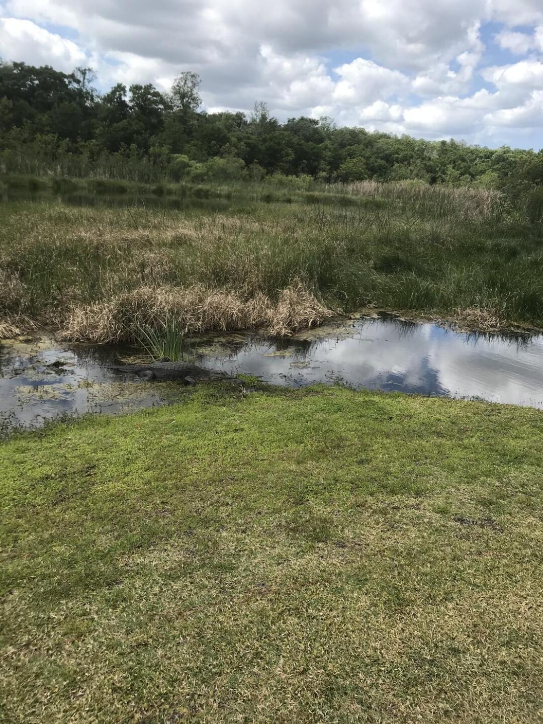 (Photo submitted by alemon on 04/05/2021)