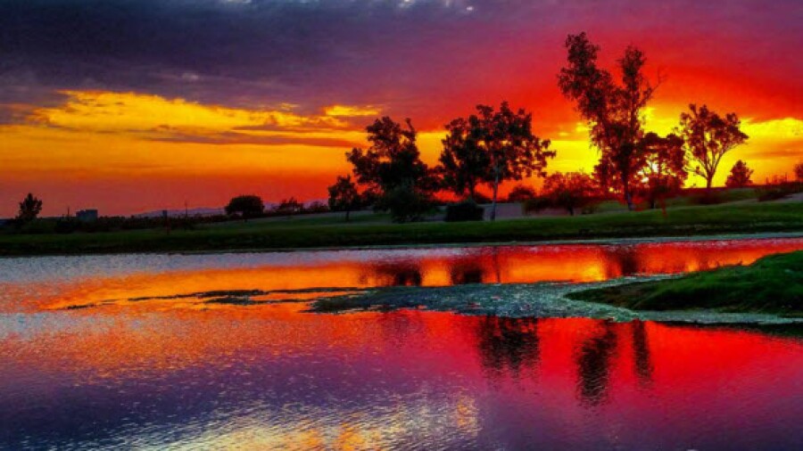 14 - Living The Green - November 2015 - cartbarnguys