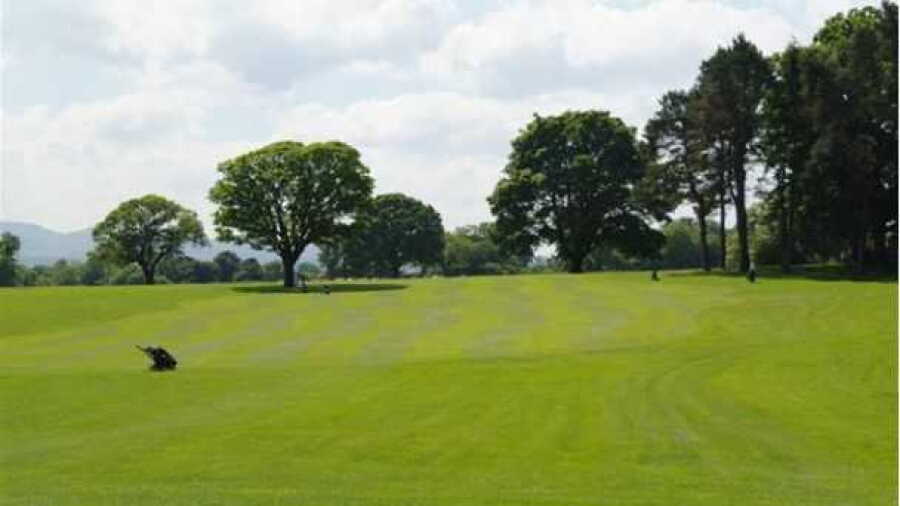 Dundas Parks GC: 5th green