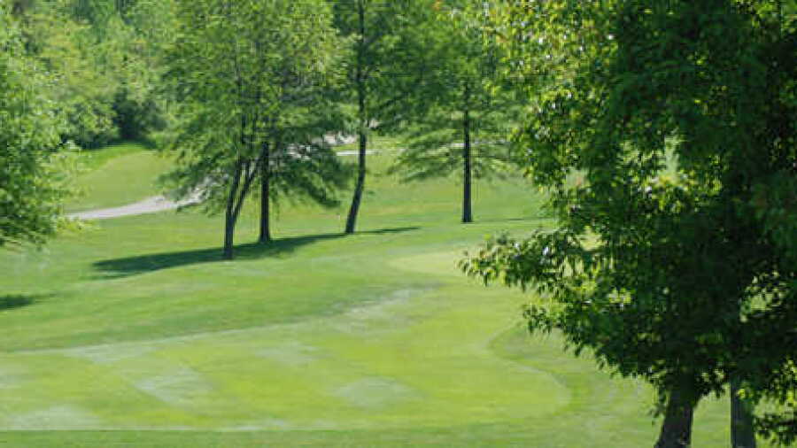 Meadow Links & G Academy