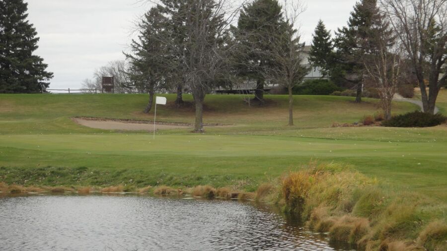 Purple Hawk: #9