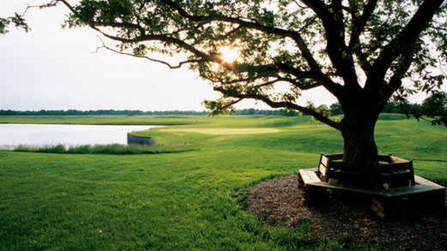 Gut Apeldoer GC - Big 9 sponsored by Audi: #7