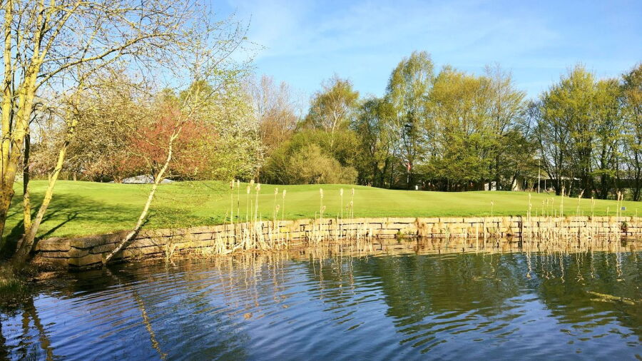 Buxtehude GC