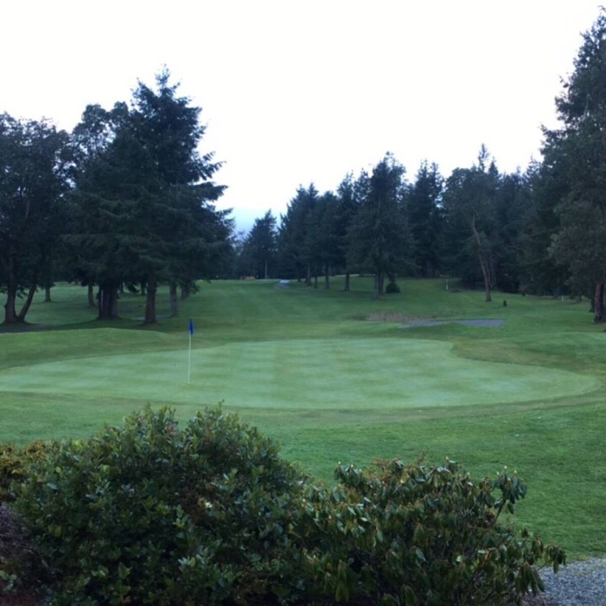 Madrona Links Golf Course in Gig Harbor, Washington, USA GolfPass Madrona Links Golf Course in Gig Harbor, Washington, USA GolfPass
