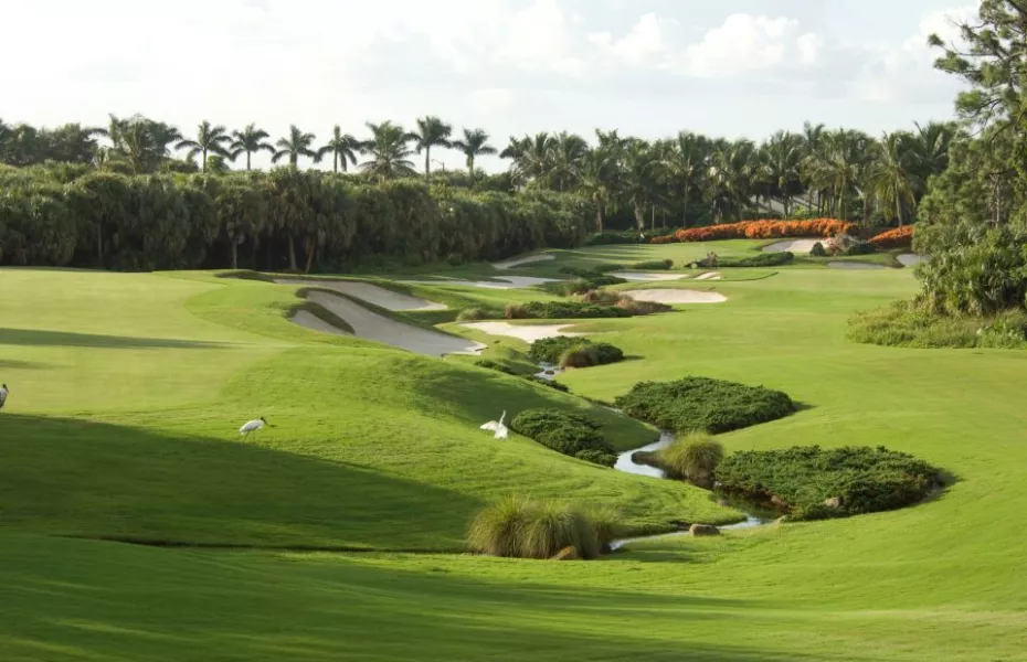 Trump International GC: #15