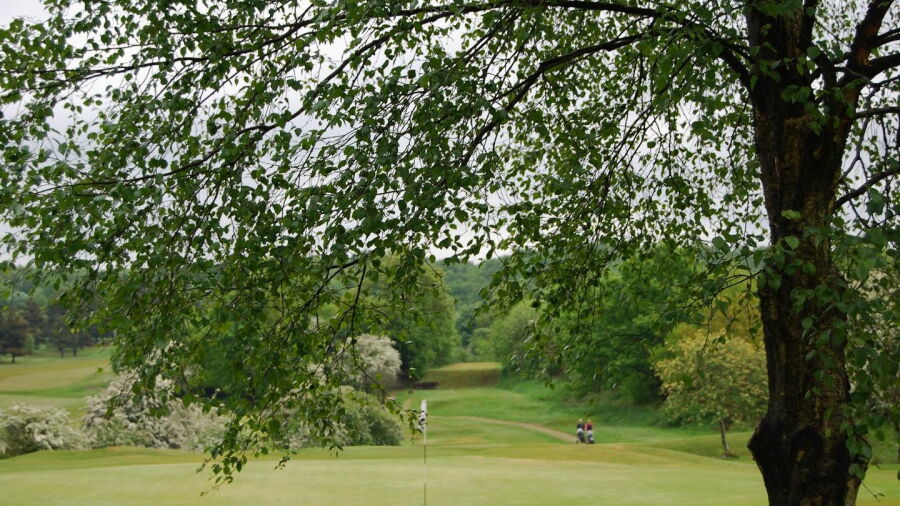 Alloa GC: #18