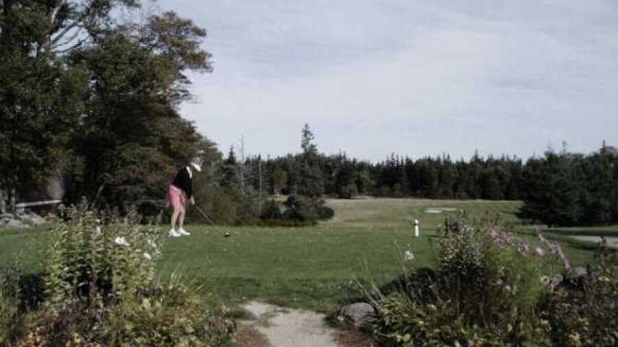 Island CC: #1